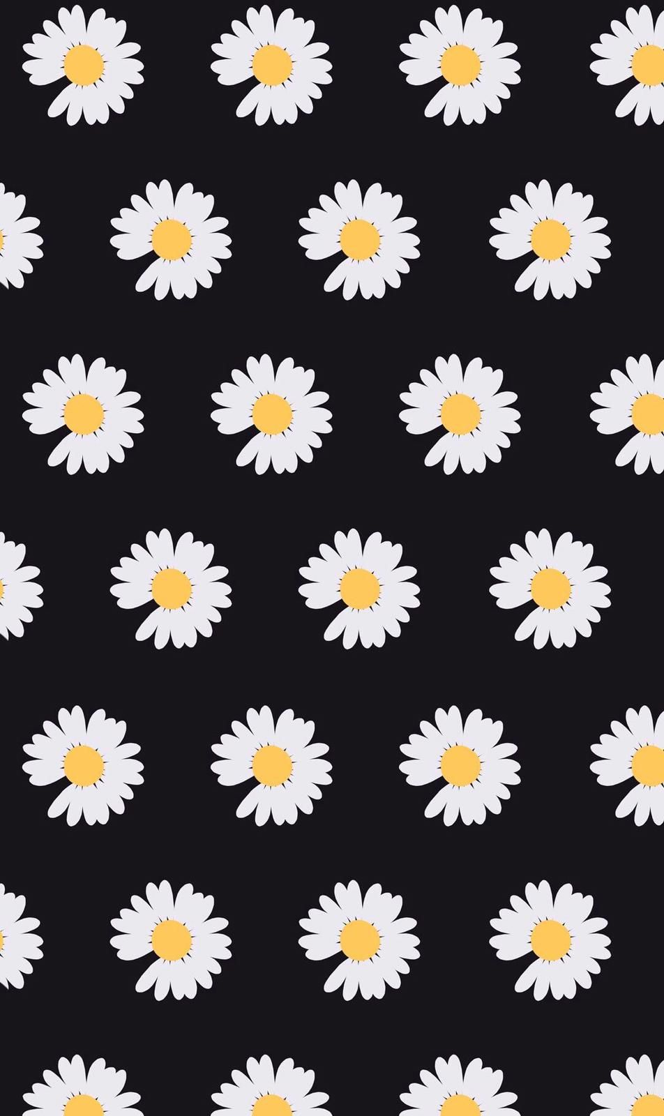 Detail Bunga Daisy Wallpaper Nomer 27