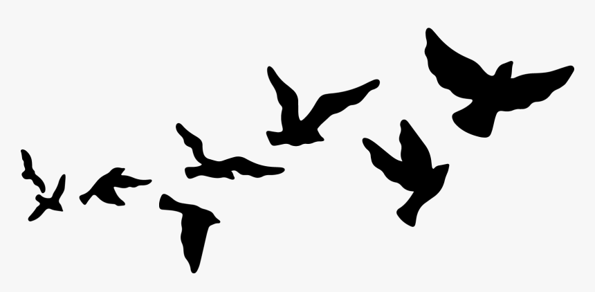 Detail Flying Bird Nomer 4