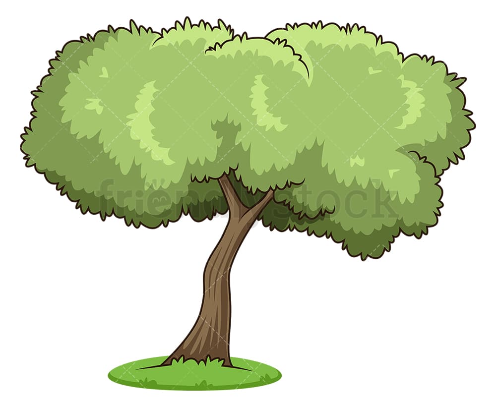 Detail Olive Tree Vector Nomer 9