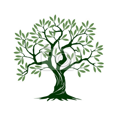 Detail Olive Tree Vector Nomer 13