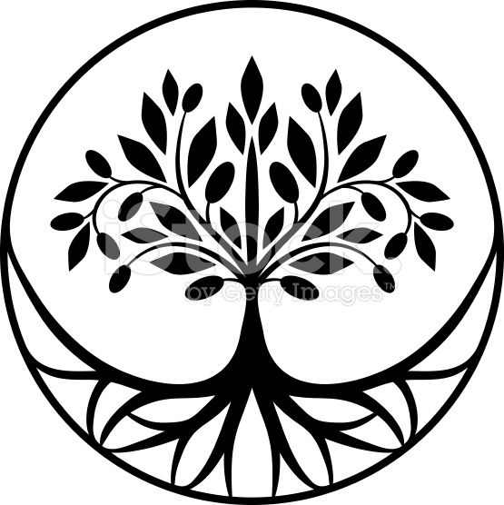 Detail Olive Tree Vector Nomer 14