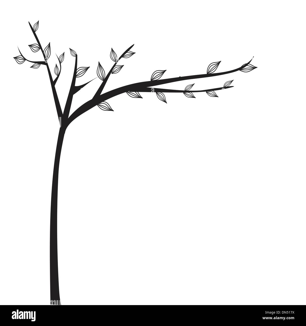 Detail Olive Tree Vector Nomer 15