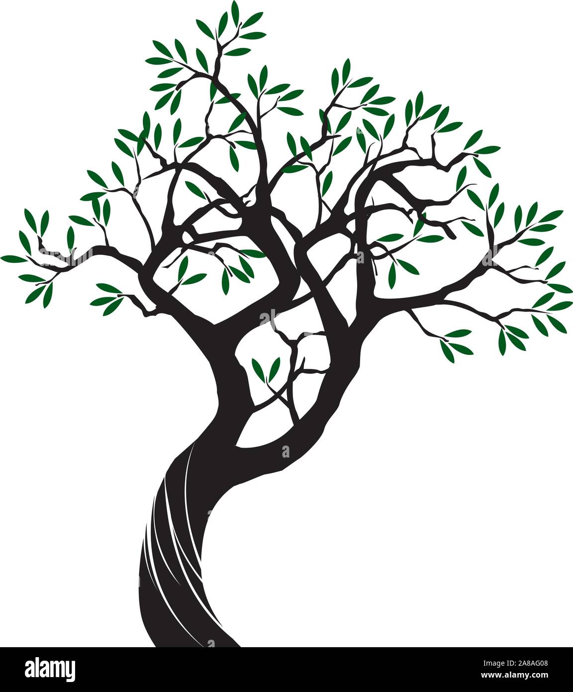 Detail Olive Tree Vector Nomer 2