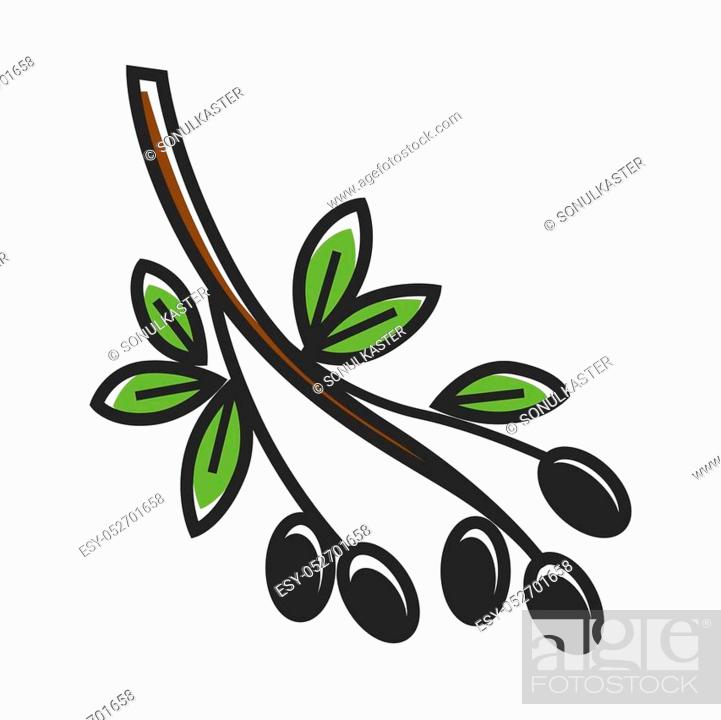 Detail Olive Tree Vector Nomer 18