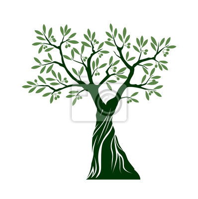 Detail Olive Tree Vector Nomer 19