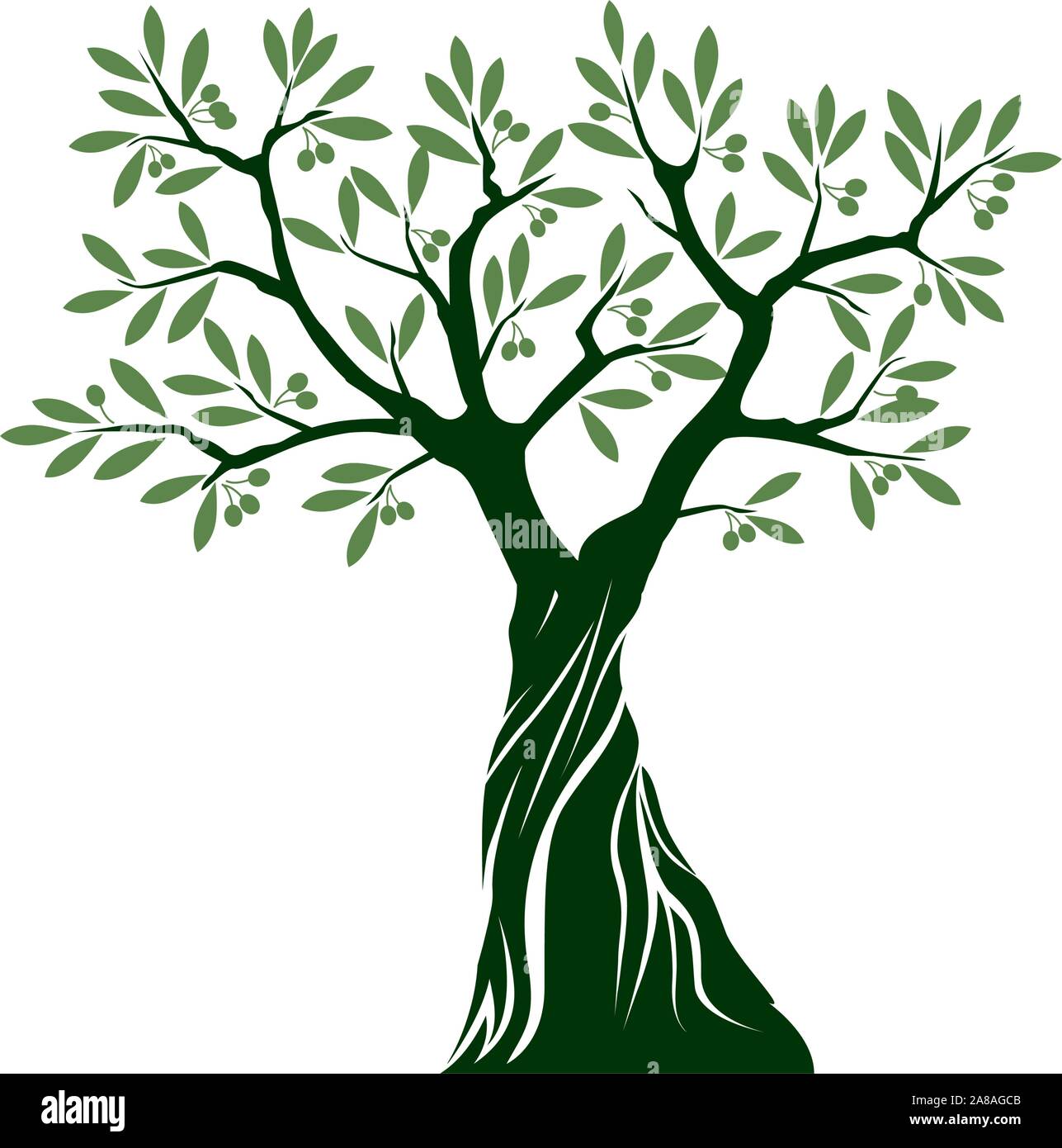 Detail Olive Tree Vector Nomer 20