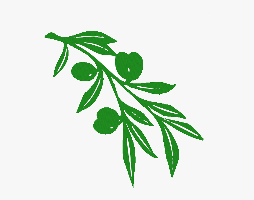 Detail Olive Tree Vector Nomer 22