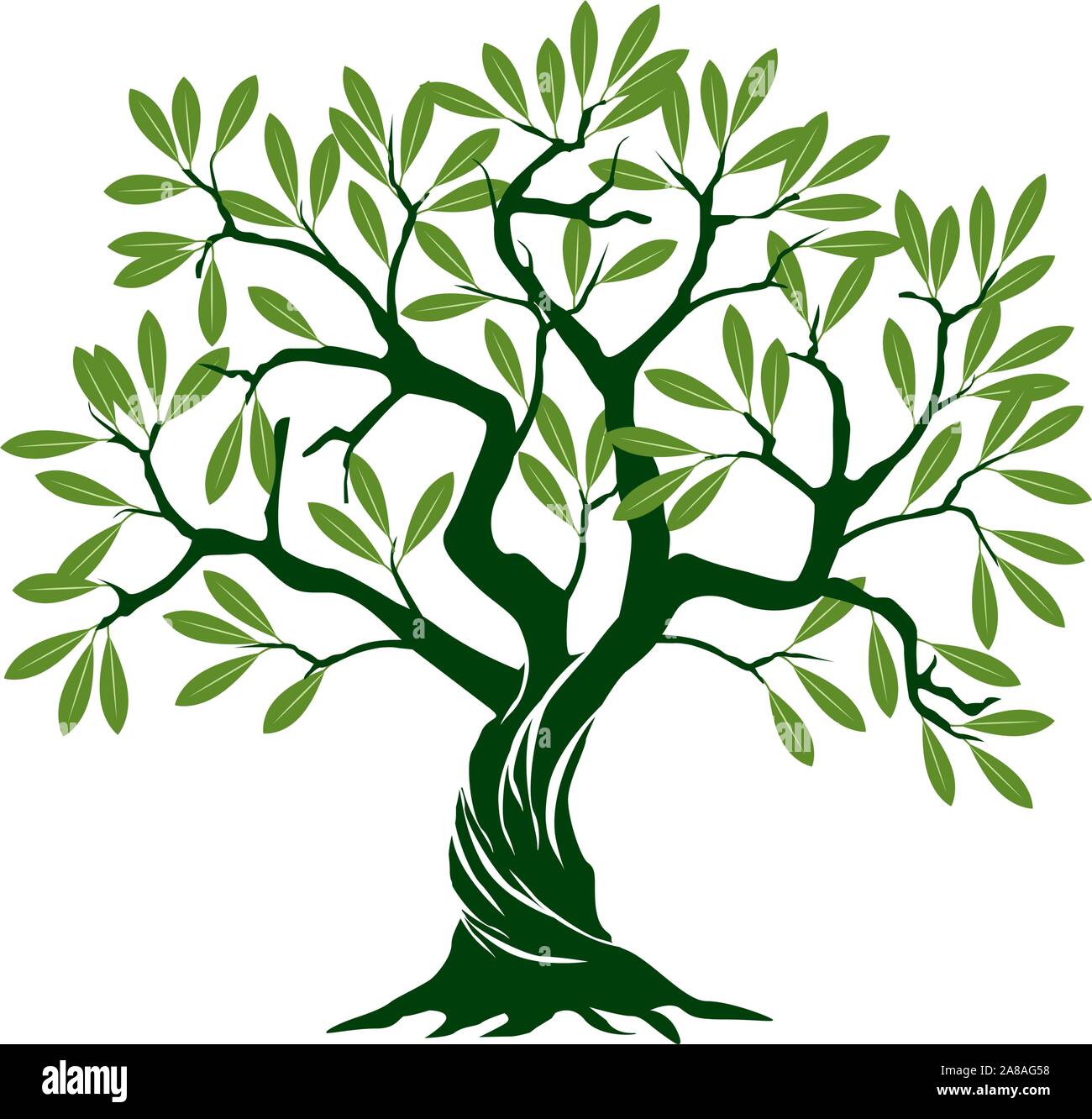 Detail Olive Tree Vector Nomer 3