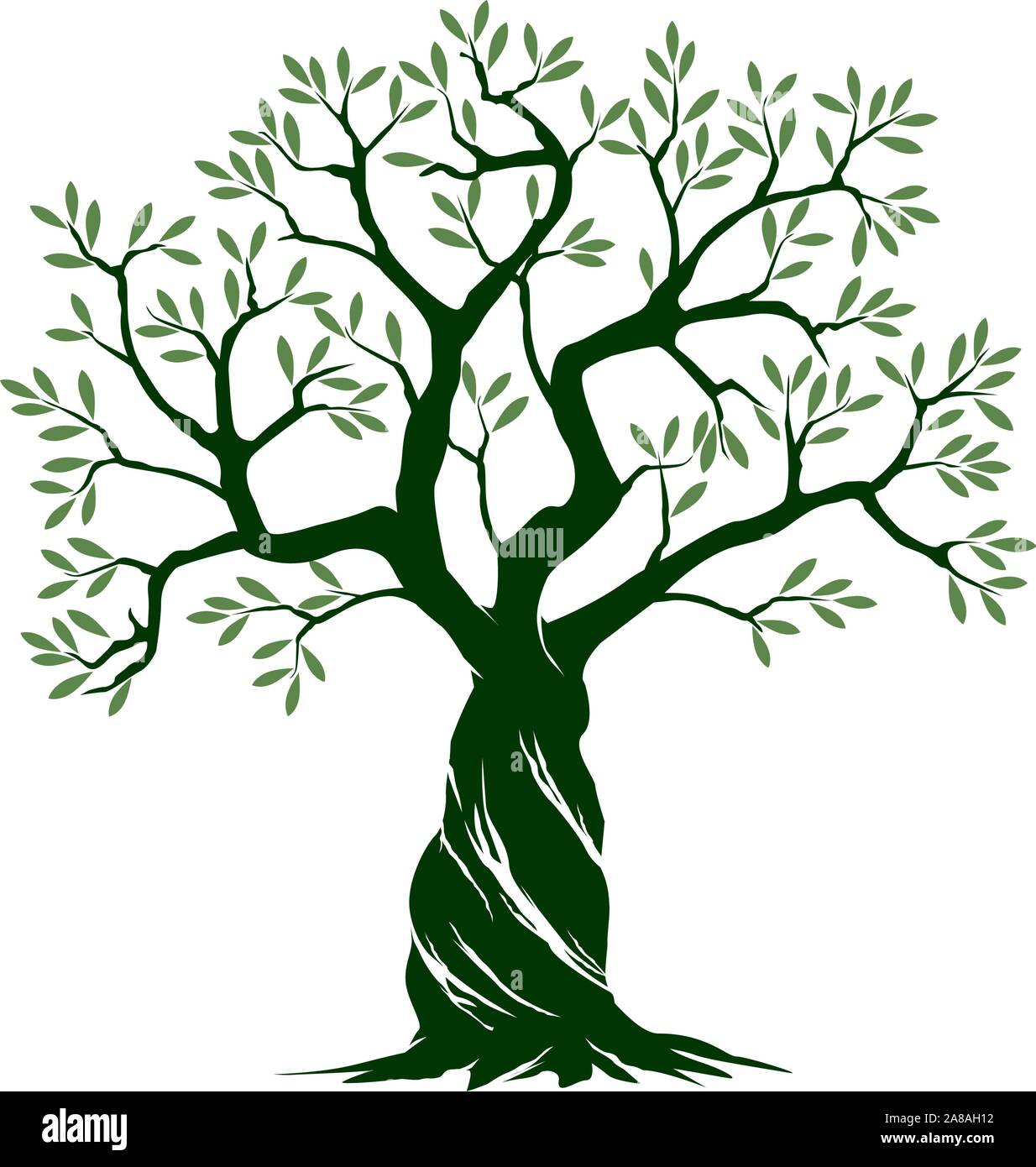 Detail Olive Tree Vector Nomer 4