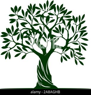 Detail Olive Tree Vector Nomer 6