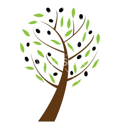 Detail Olive Tree Vector Nomer 7