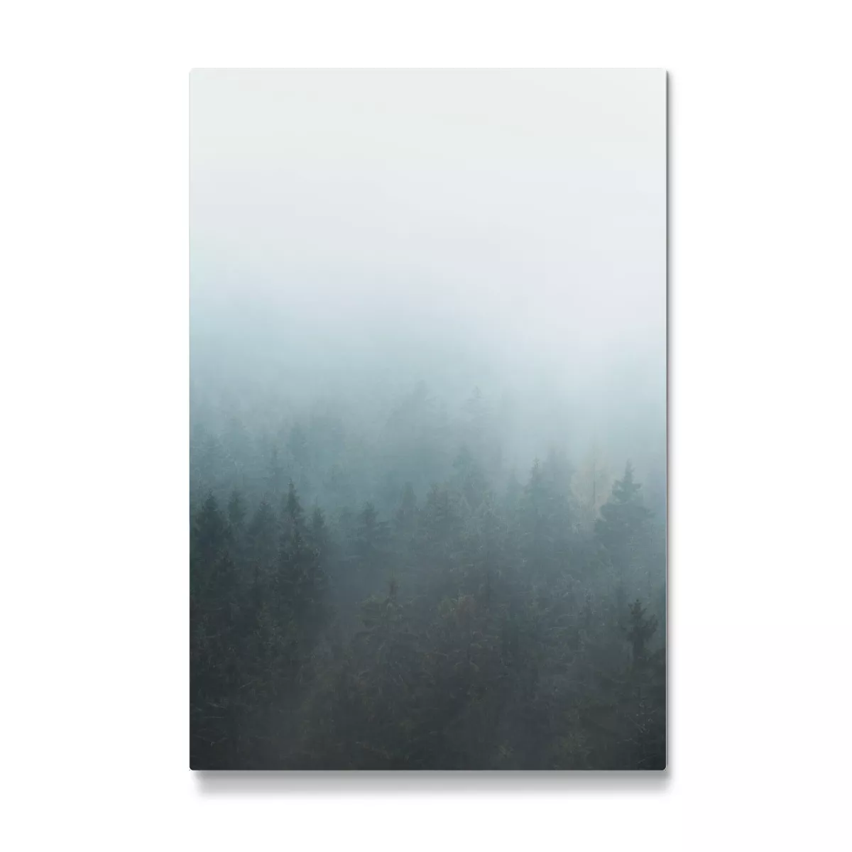 Detail Wald Nebel Bilder Nomer 5
