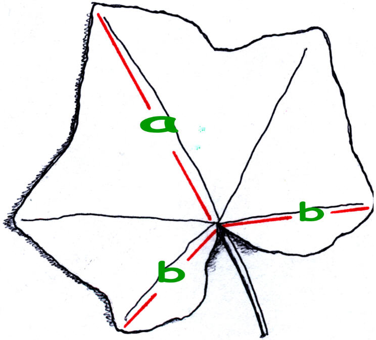 Detail Wie Viele Dreiecke In Einem Pentagramm Nomer 12