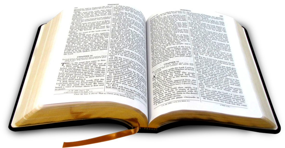 Detail Free Downloads Of The Holy Bible Nomer 28