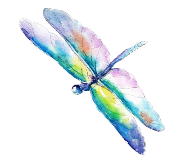 Detail Free Dragonfly Clipart Nomer 9