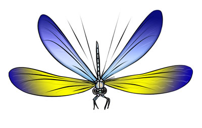 Detail Free Dragonfly Clipart Black And White Nomer 29