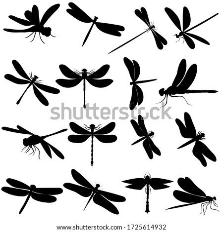 Detail Free Dragonfly Clipart Black And White Nomer 37