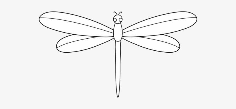 Detail Free Dragonfly Clipart Black And White Nomer 8