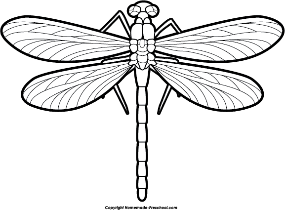 Detail Free Dragonfly Images Nomer 46