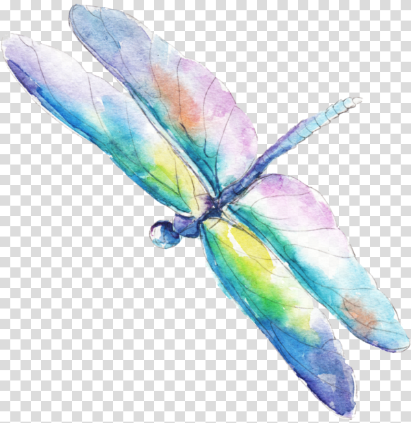 Detail Free Dragonfly Png Nomer 28