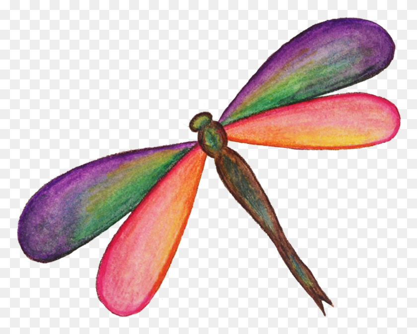 Detail Free Dragonfly Png Nomer 37