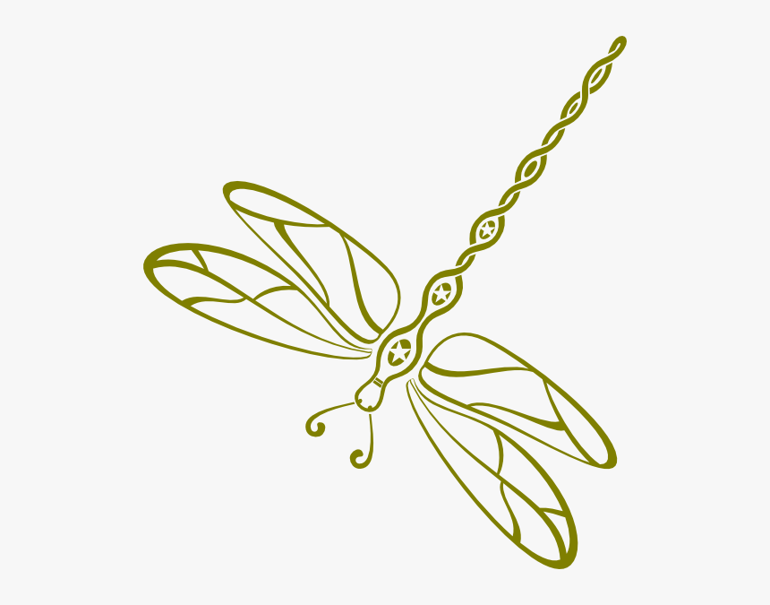 Detail Free Dragonfly Png Nomer 50