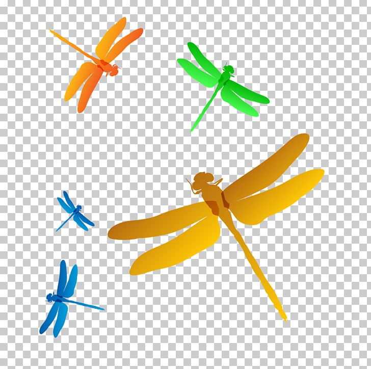 Detail Free Dragonfly Png Nomer 52