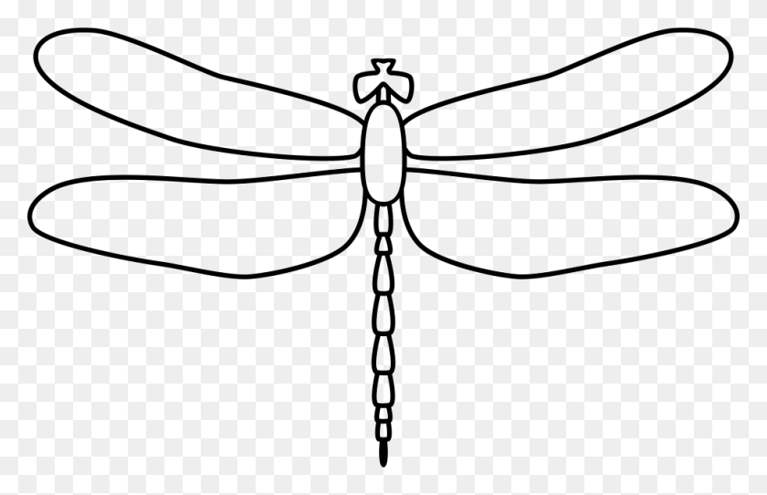 Detail Free Dragonfly Png Nomer 54