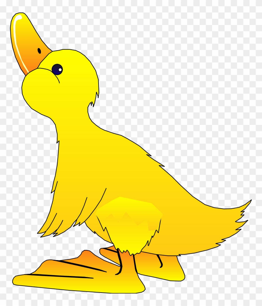 Detail Free Duck Clipart Nomer 24