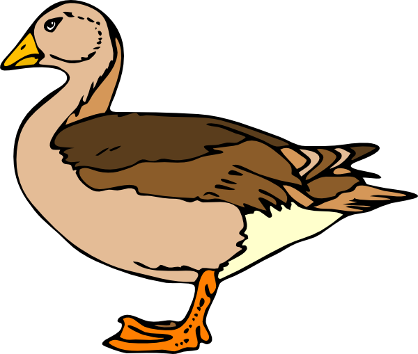 Detail Free Duck Clipart Nomer 27