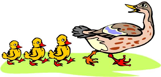 Detail Free Duck Clipart Nomer 38