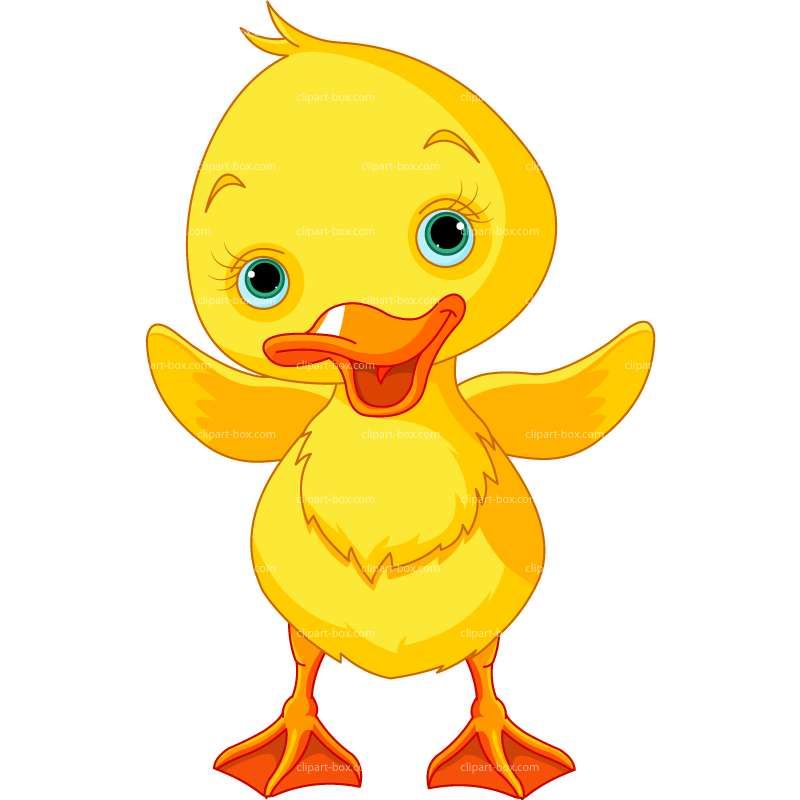 Detail Free Ducky Clipart Nomer 13