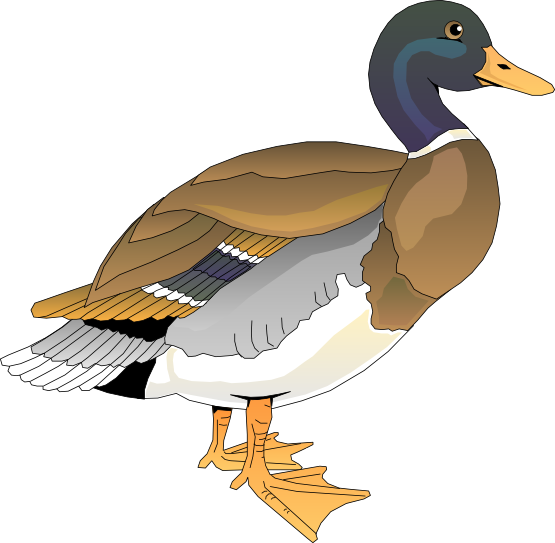 Detail Free Ducky Clipart Nomer 40