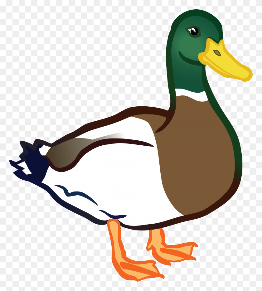 Detail Free Ducky Clipart Nomer 5