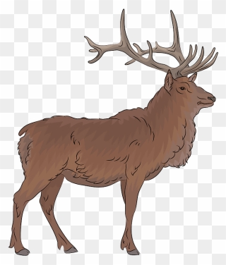 Detail Free Elk Clip Art Nomer 4