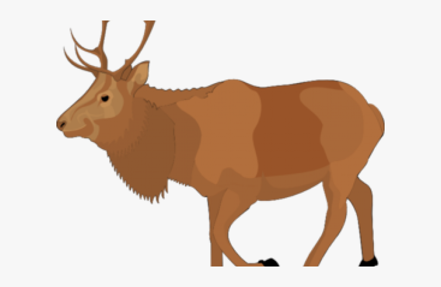 Detail Free Elk Clip Art Nomer 39