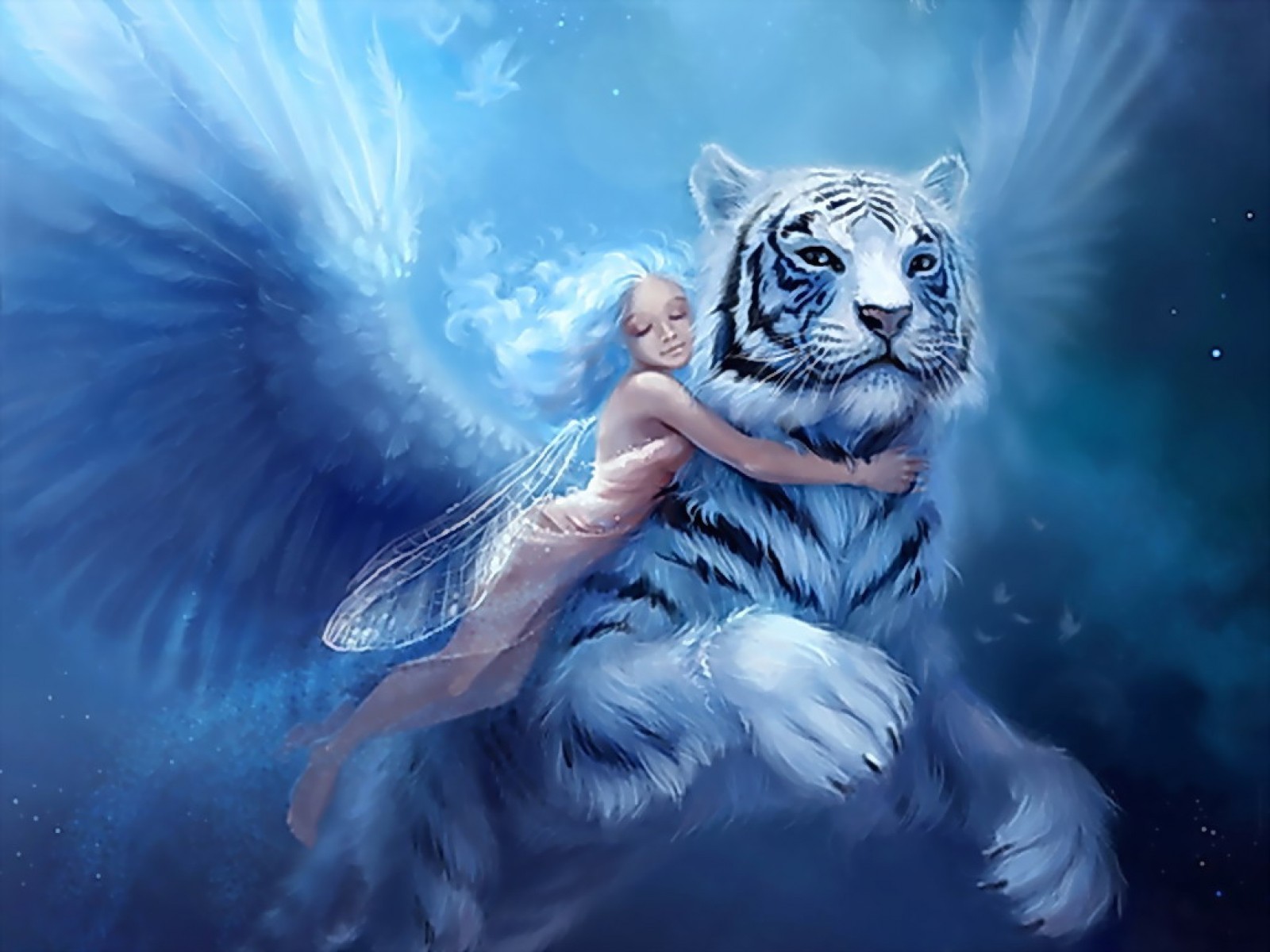 Detail Free Fairies Wallpapers Download Nomer 9