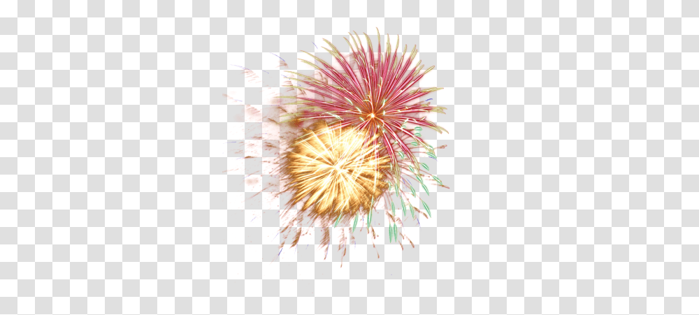 Detail Free Firework Download Nomer 49