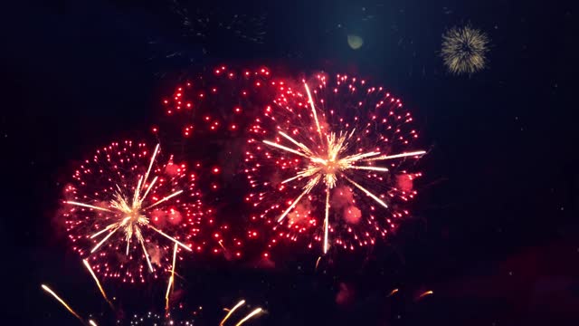 Detail Free Fireworks Images Nomer 50