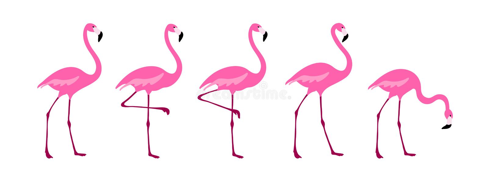 Detail Free Flamingo Clipart Nomer 24