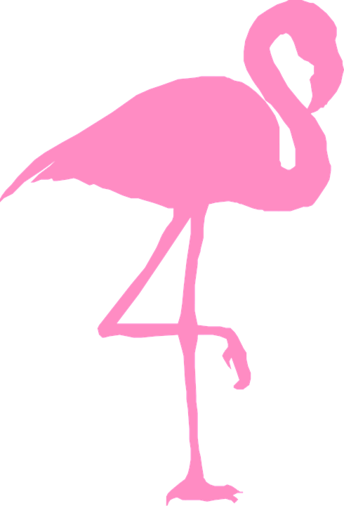 Detail Free Flamingo Clipart Nomer 4