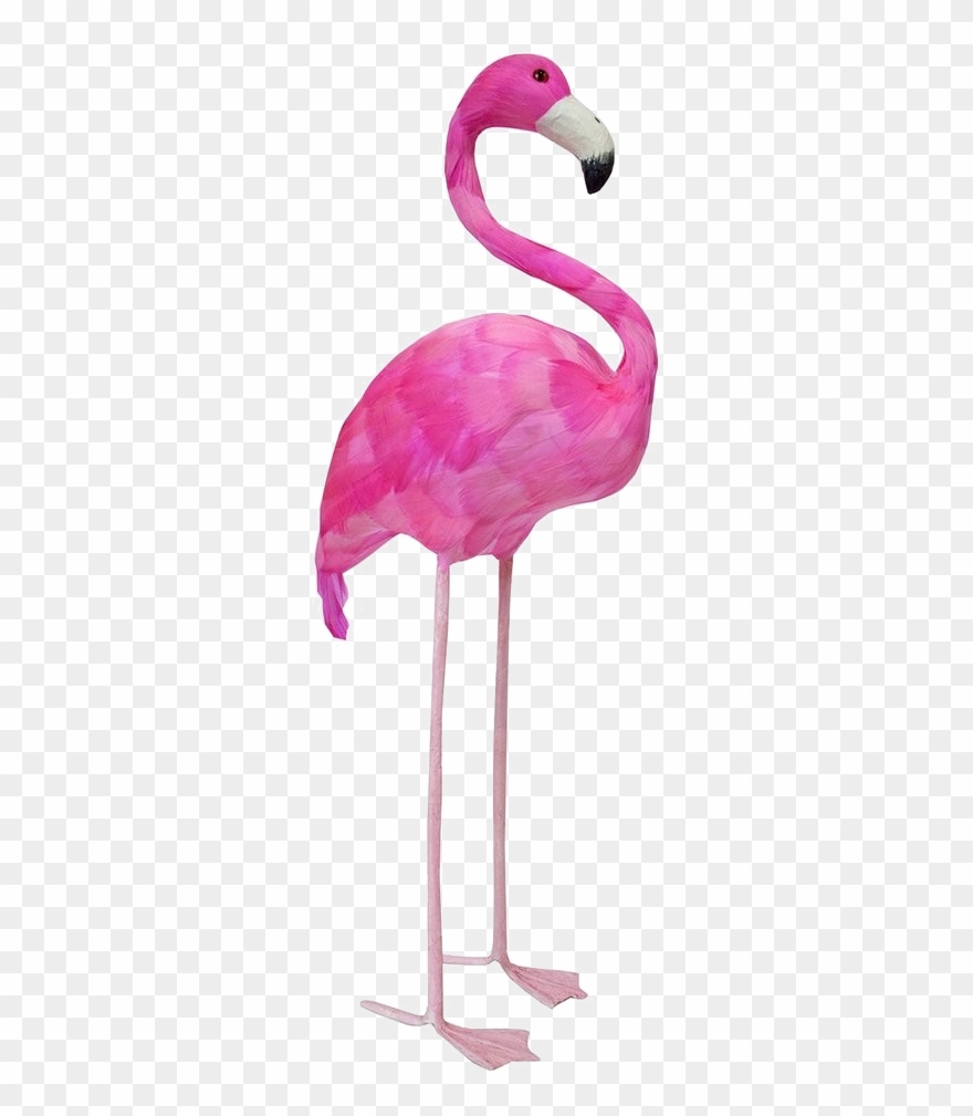Detail Free Flamingo Clipart Nomer 47