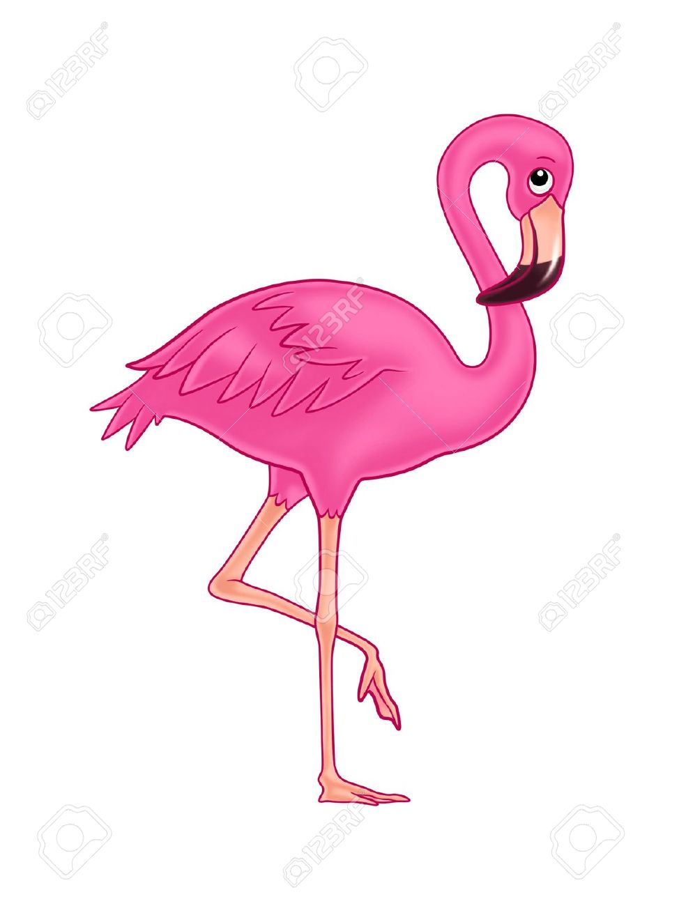 Detail Free Flamingo Images Nomer 16
