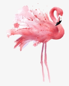 Detail Free Flamingo Images Nomer 18