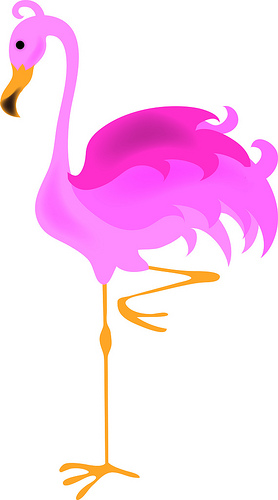 Detail Free Flamingo Images Nomer 25