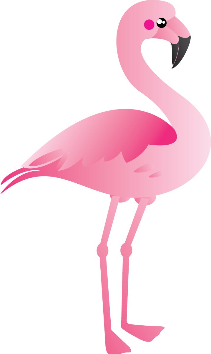 Detail Free Flamingo Images Nomer 26