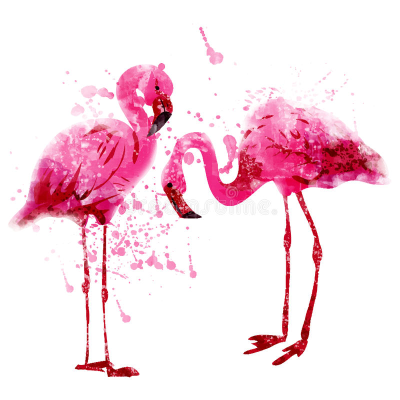 Detail Free Flamingo Images Nomer 5