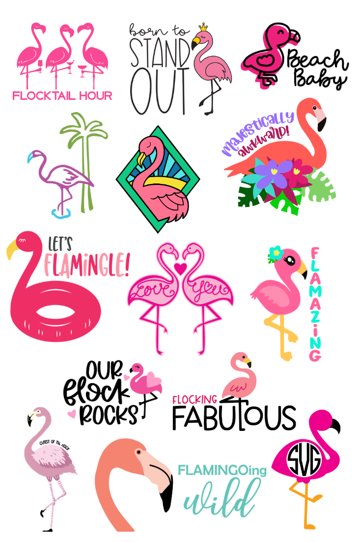 Detail Free Flamingo Images Nomer 40