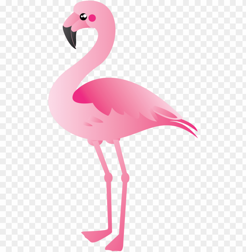 Detail Free Flamingo Pictures Nomer 48