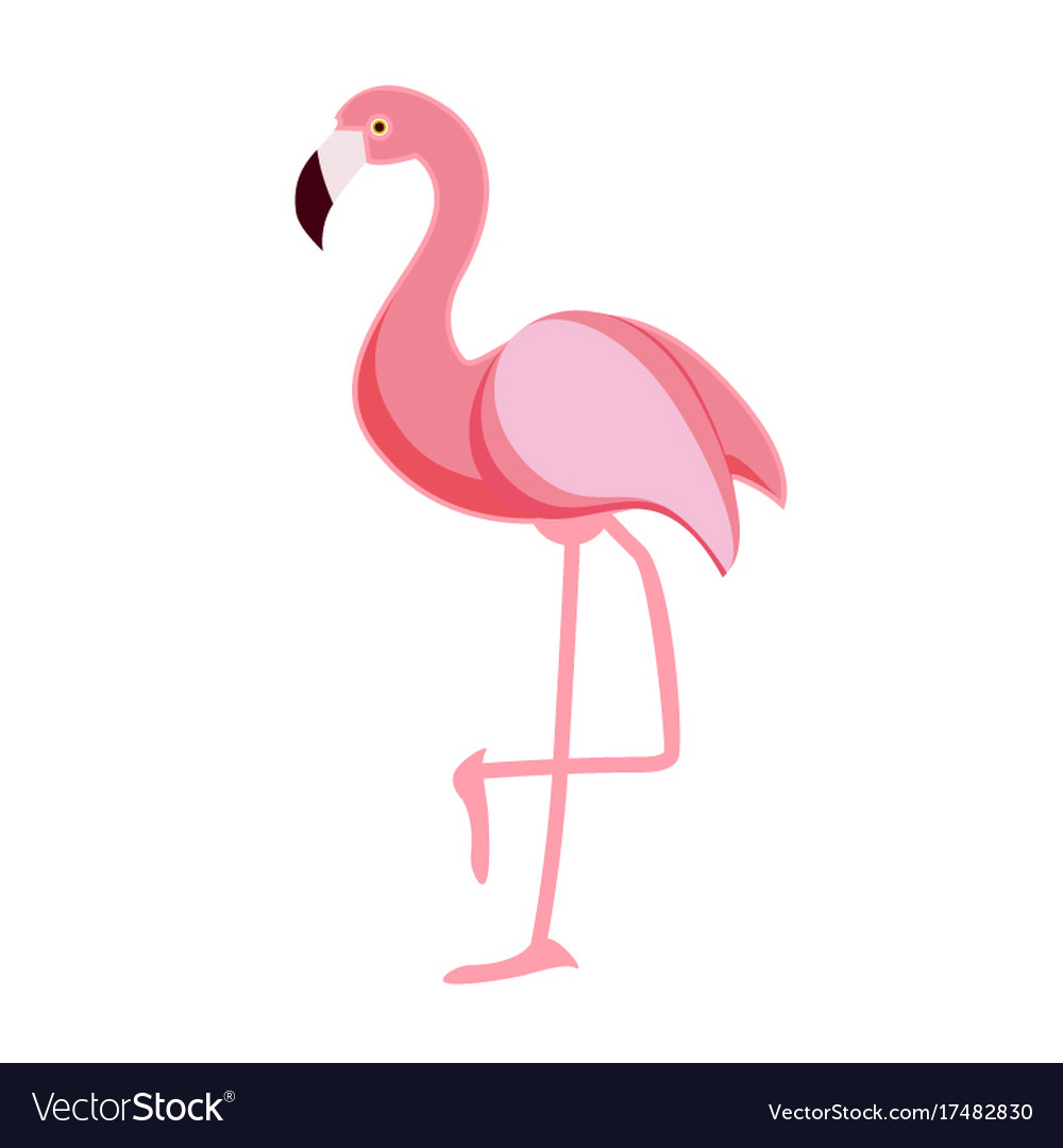 Detail Free Flamingo Pictures Nomer 53